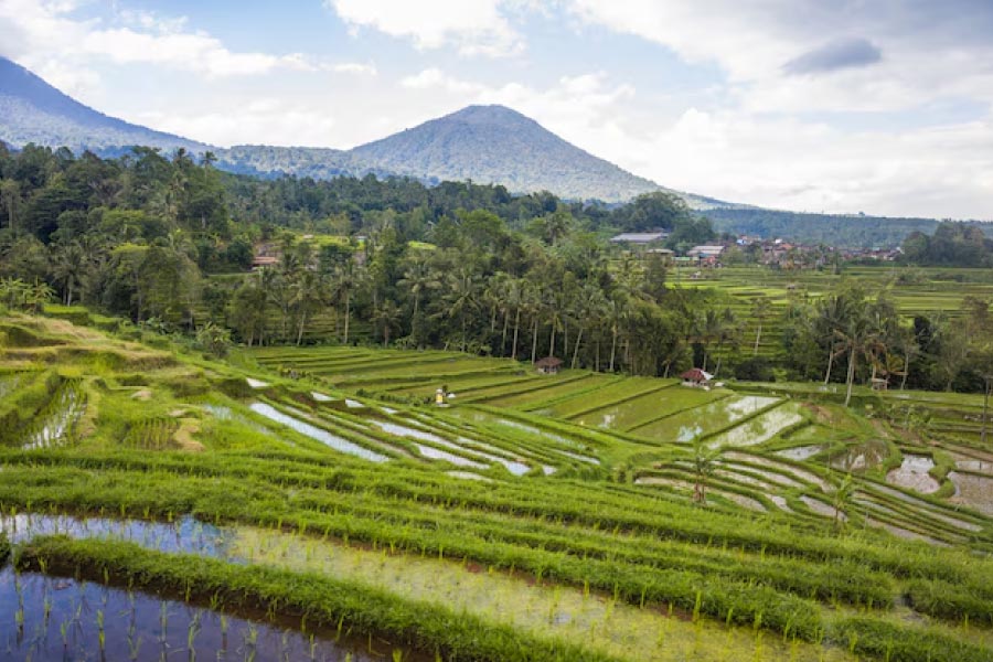 Sidemen: Embracing Bali’s Rural Charm