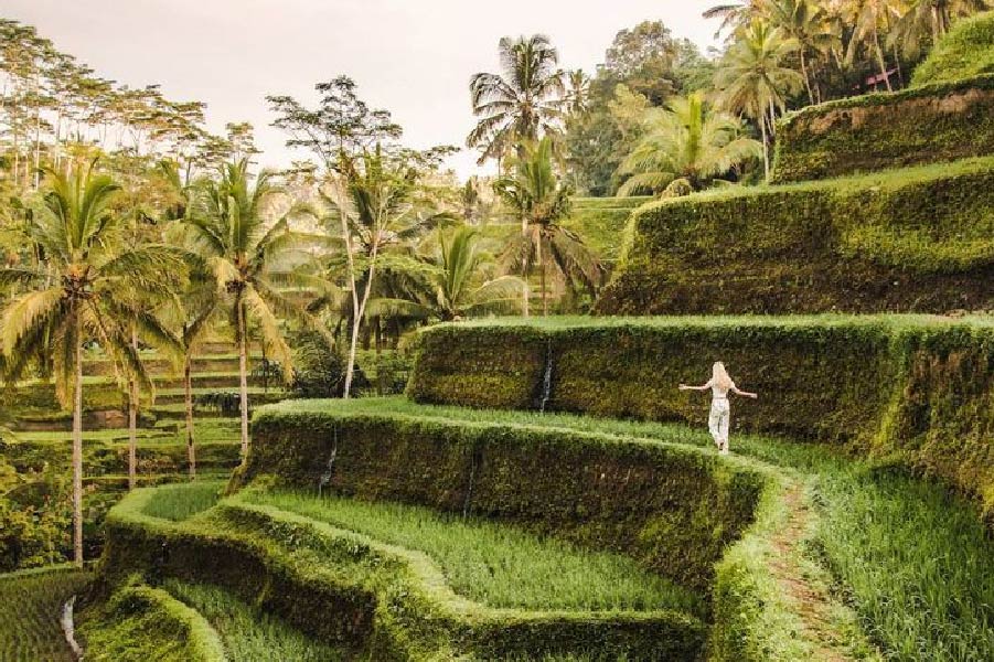 Tegalalang Rice Terraces – The Iconic Green Wonderland