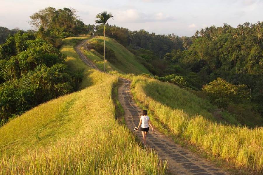Campuhan Ridge Walk – Sunrise Bliss